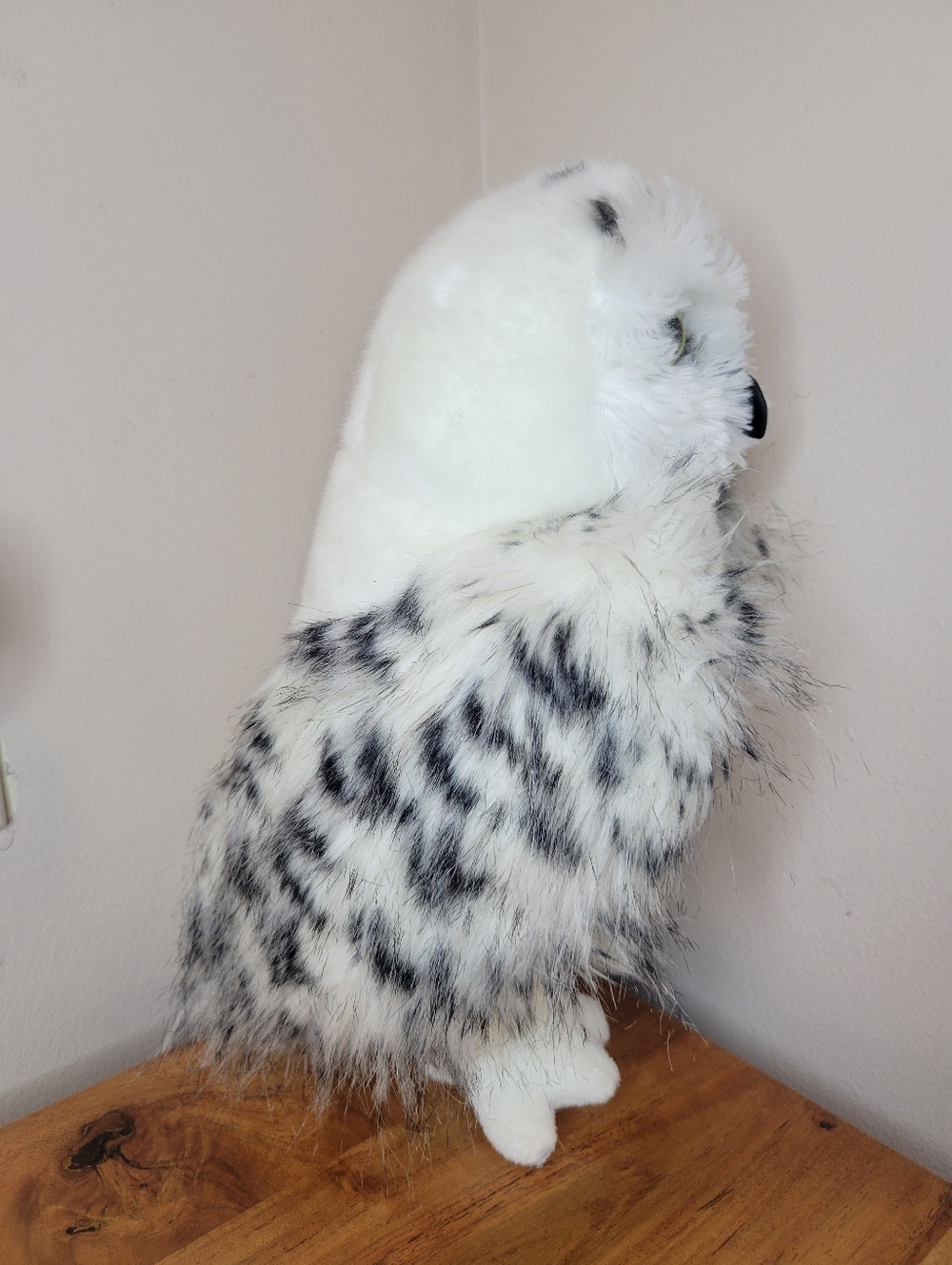 Douglas Toys Wizard‎ Snowy Owl Plush Stuffed Animal - Picture 2 of 6